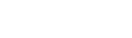 Pino Galvagno, Consulente SEO