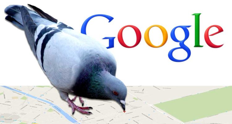 google pigeon