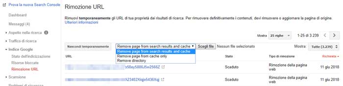 rimozione url search console