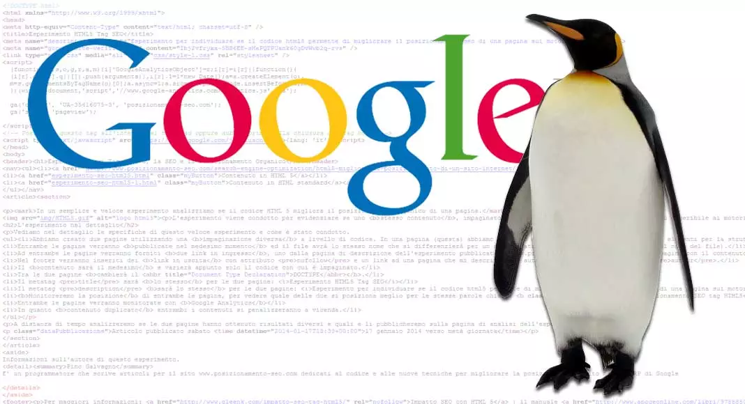 Google Penguin: cos’è e come funziona?