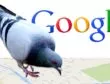 Google Pigeon: cos’è e come funziona?