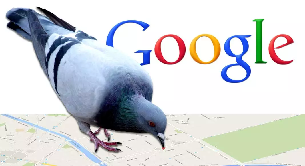 Google Pigeon: cos’è e come funziona?