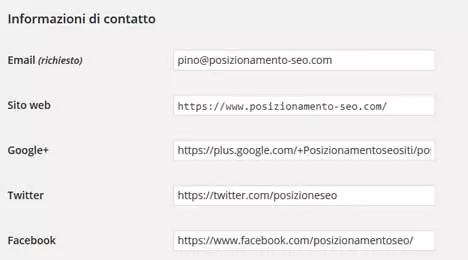 wordpress informazioni contatto
