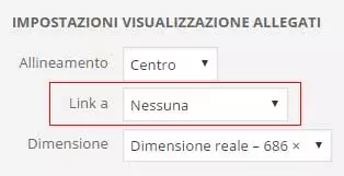 dettagli allegato immagine