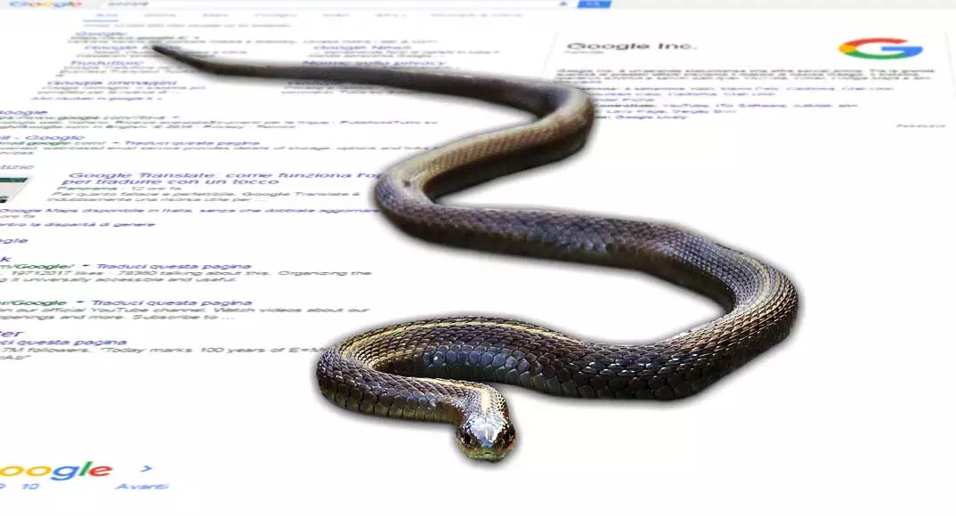 Di che SERP sei? Analisi prima pagina Google (desktop)