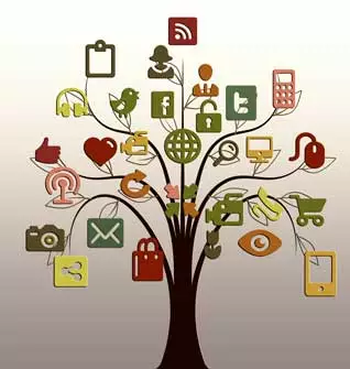 social media manager